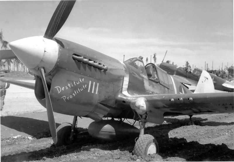 P40 самолет СССР