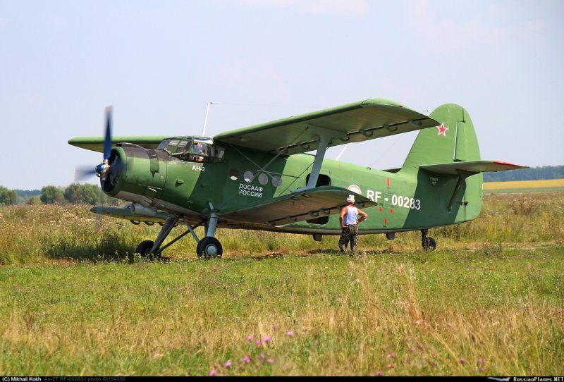 Экспериментальный ан2 гибрид Макс