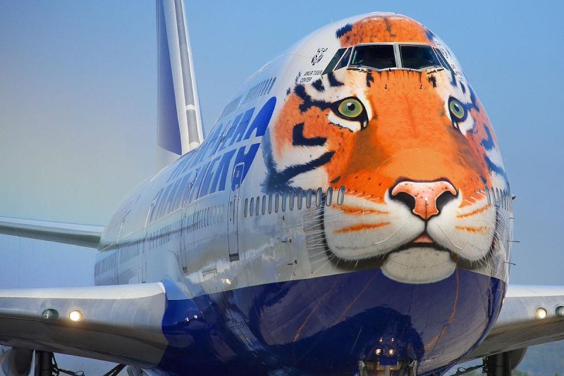 747 Трансаэро тигр