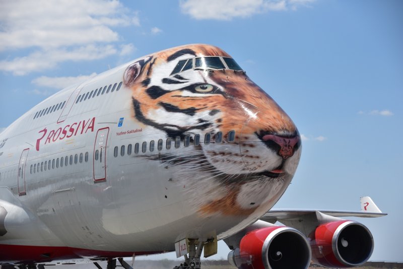 Боинг 747 Россия Уссурийский тигр