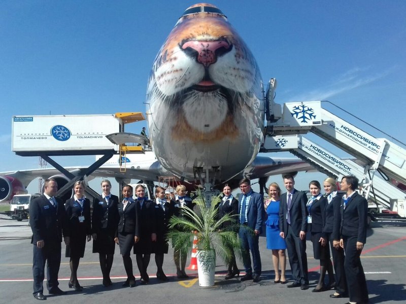 747 Россия тигр
