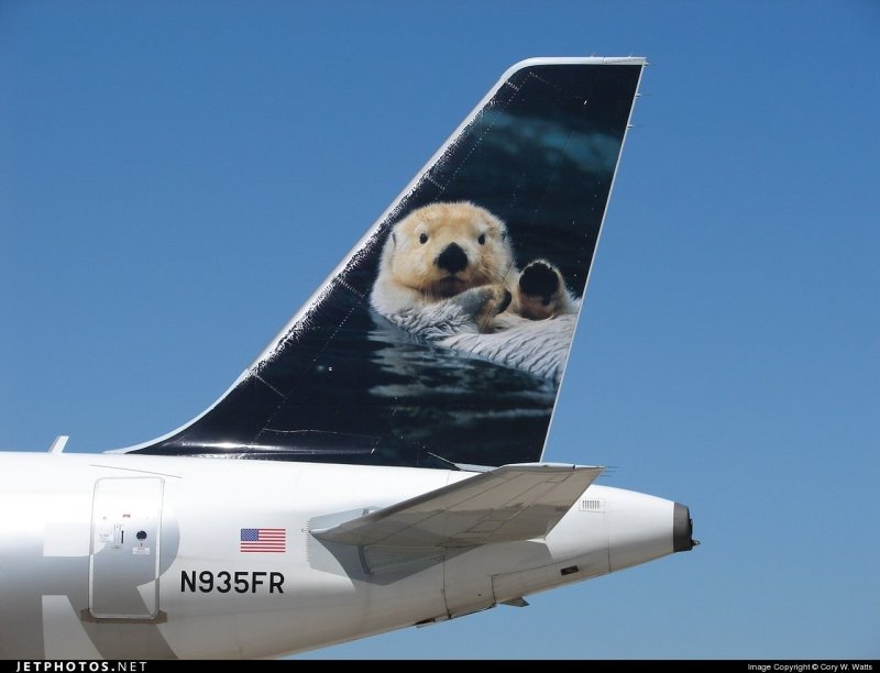 Медвежонок на самолете