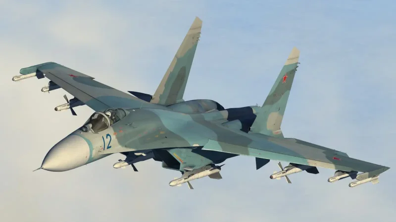 Су-27 см DCS