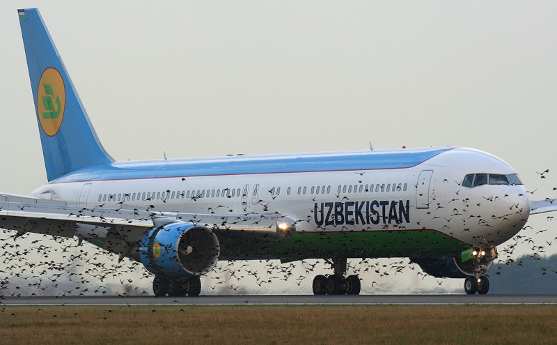 Самолет Uzbekistan Airways