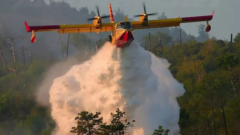 Самолёт для тушения лесных пожаров