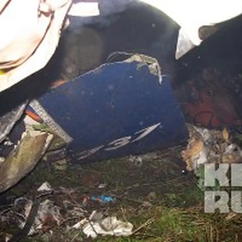 Катастрофа Boeing 737 в Перми жертвы