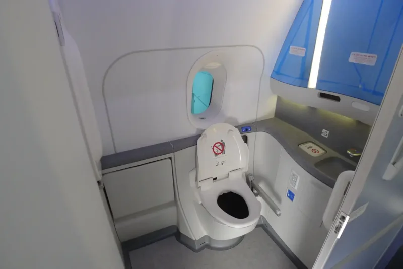 Туалет в самолете Боинг 787