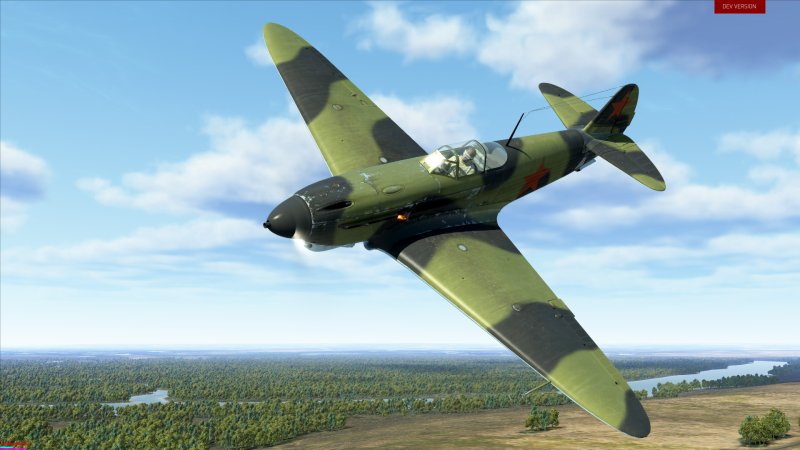 Yak 1