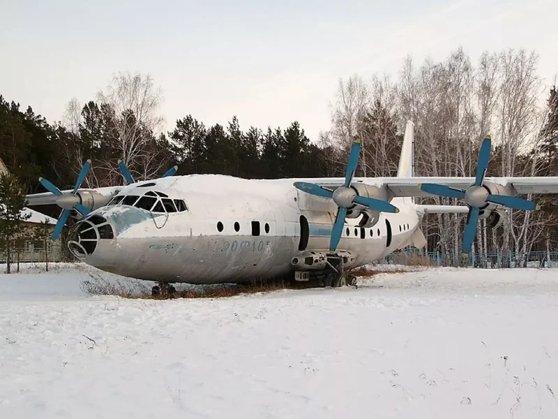 Самолет в лесу