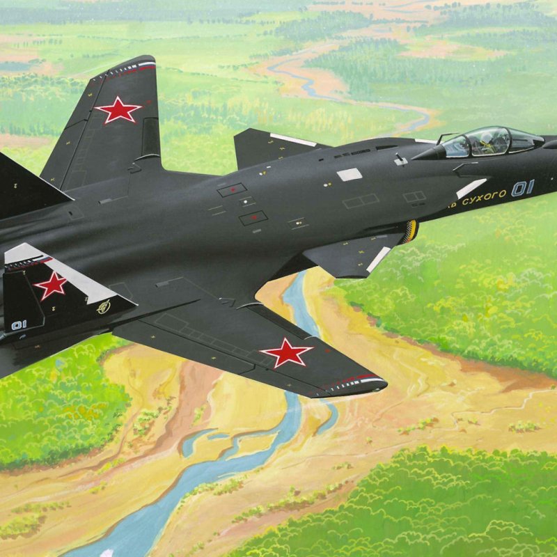 Самолет с обратной стреловидностью крыла Су-47