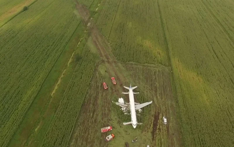 Самолёт сел на кукурузное поле в Жуковском