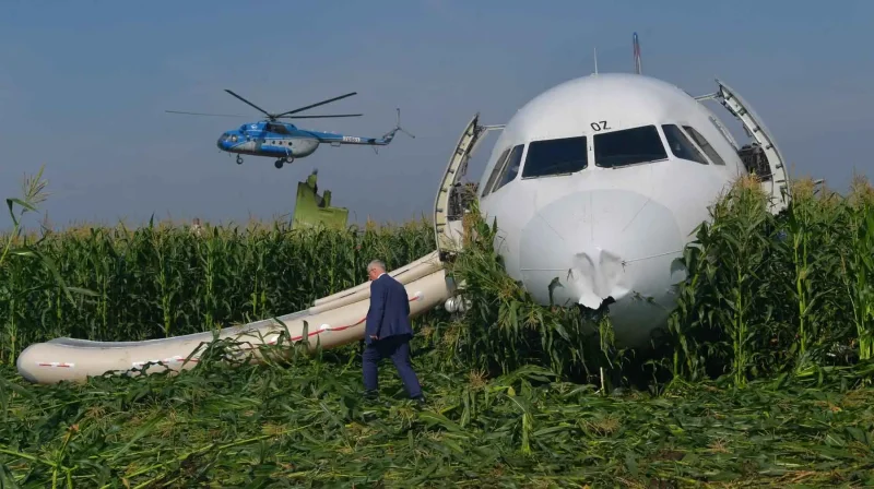 Дамир Юсупов самолет кукурузное поле