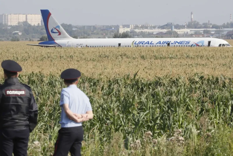 Чудо на кукурузном поле самолет