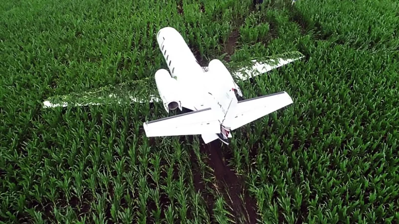 Самолёт на кукурузном поле
