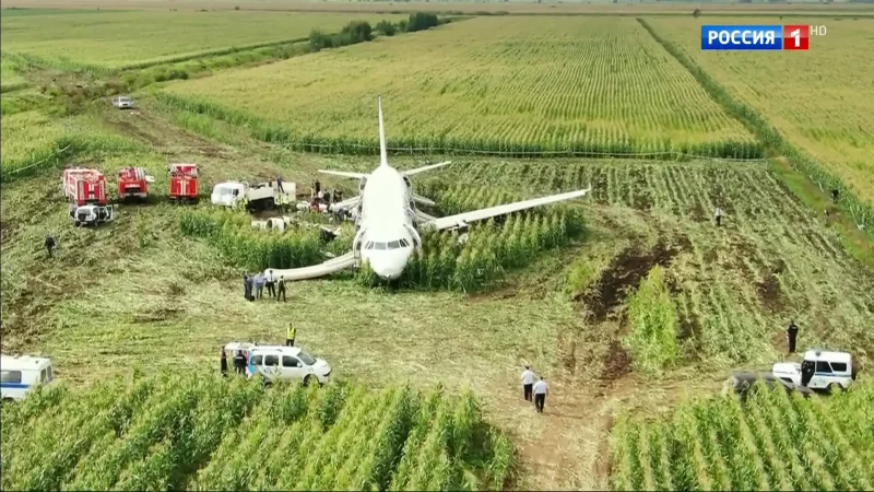 Посадка самолета в кукурузном поле