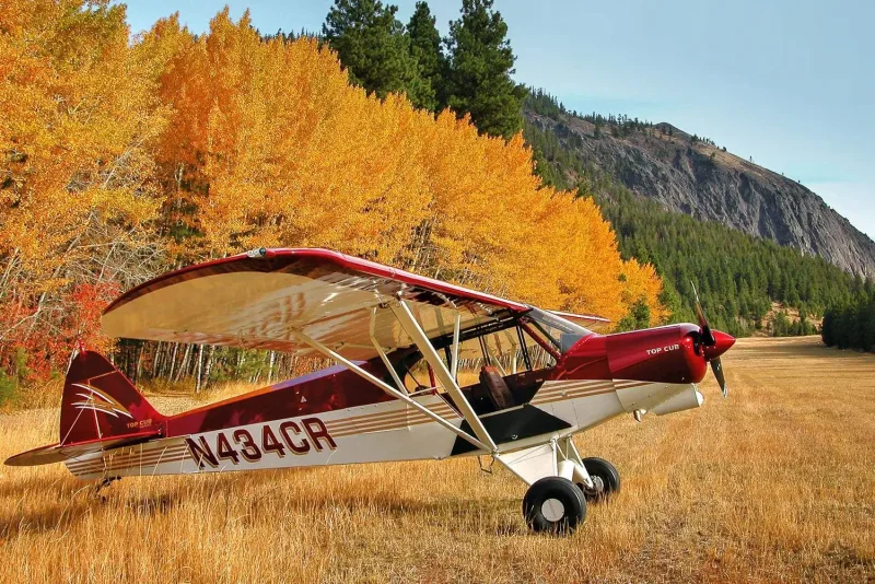 Самолет Carbon Cub