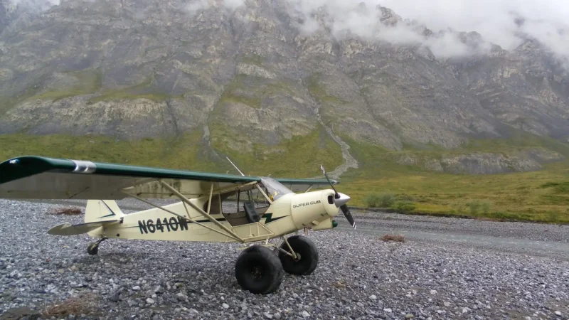 Cessna Bushplane