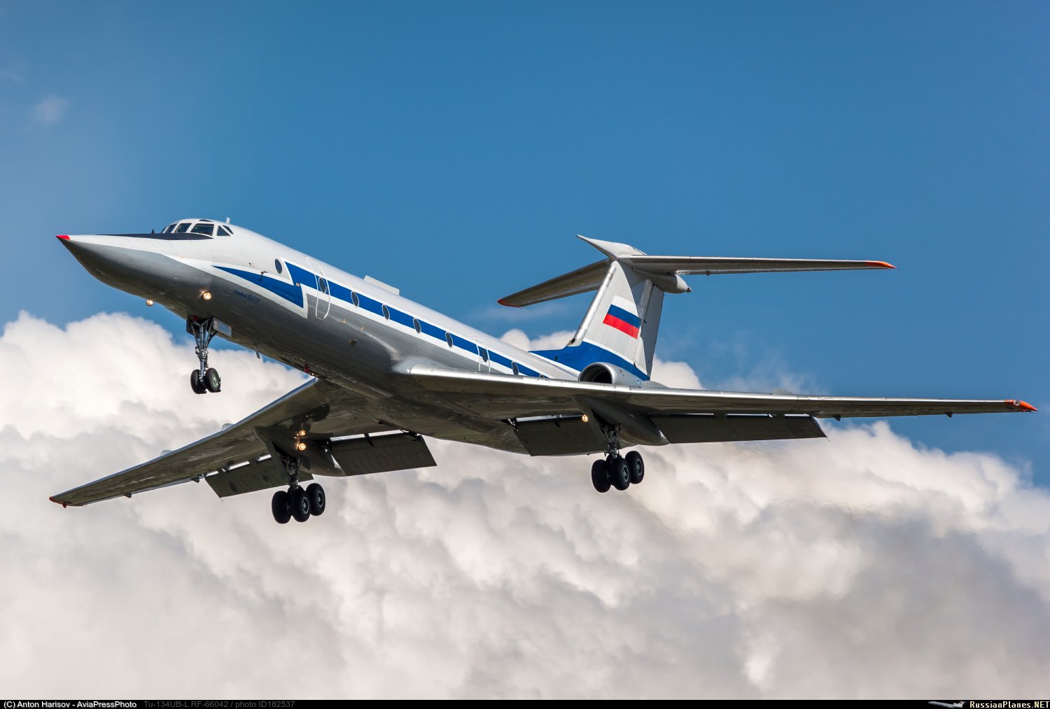 Купить российский самолет. Туполев самолеты. Ту-134 пассажирский самолёт. Ту 134 ВВС России. Ту-134 реактивный самолёт.