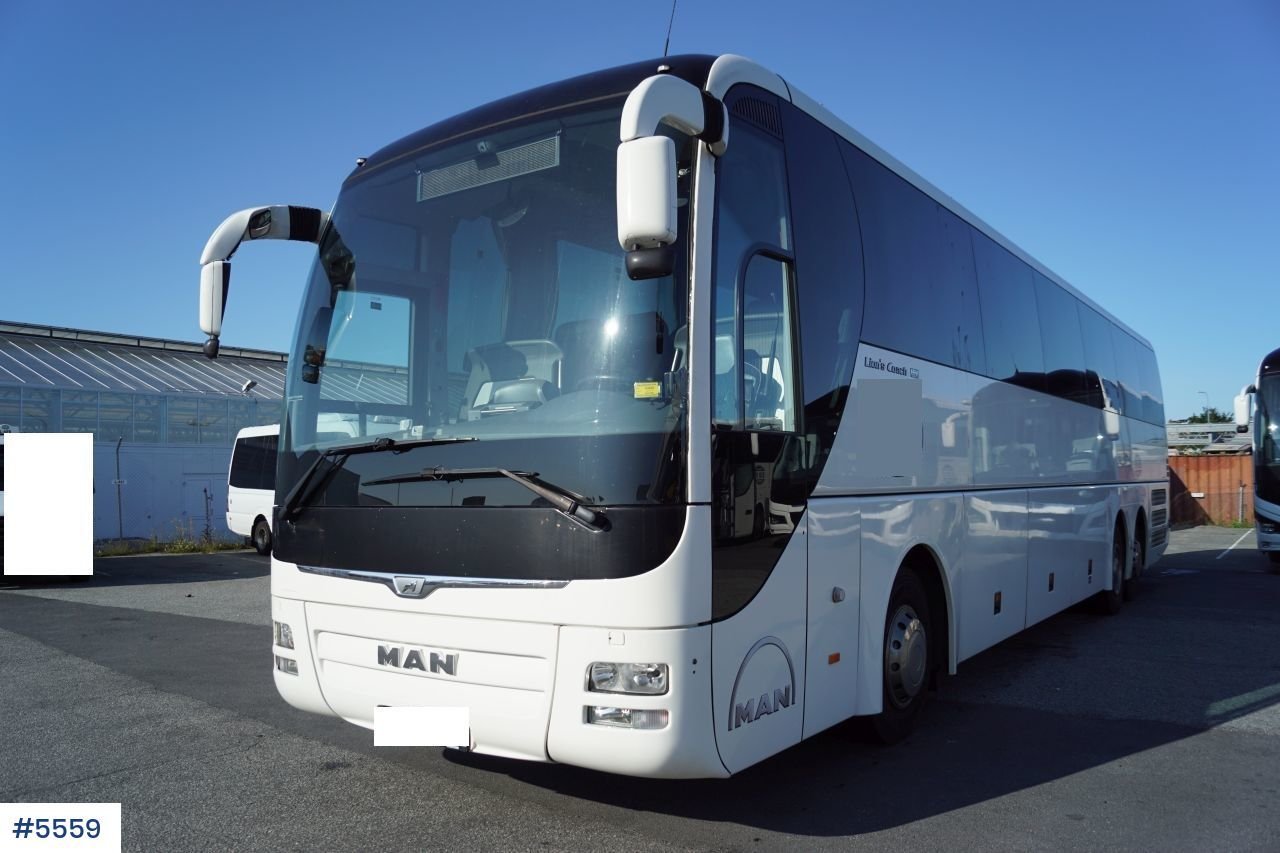 Man lion s coach фото