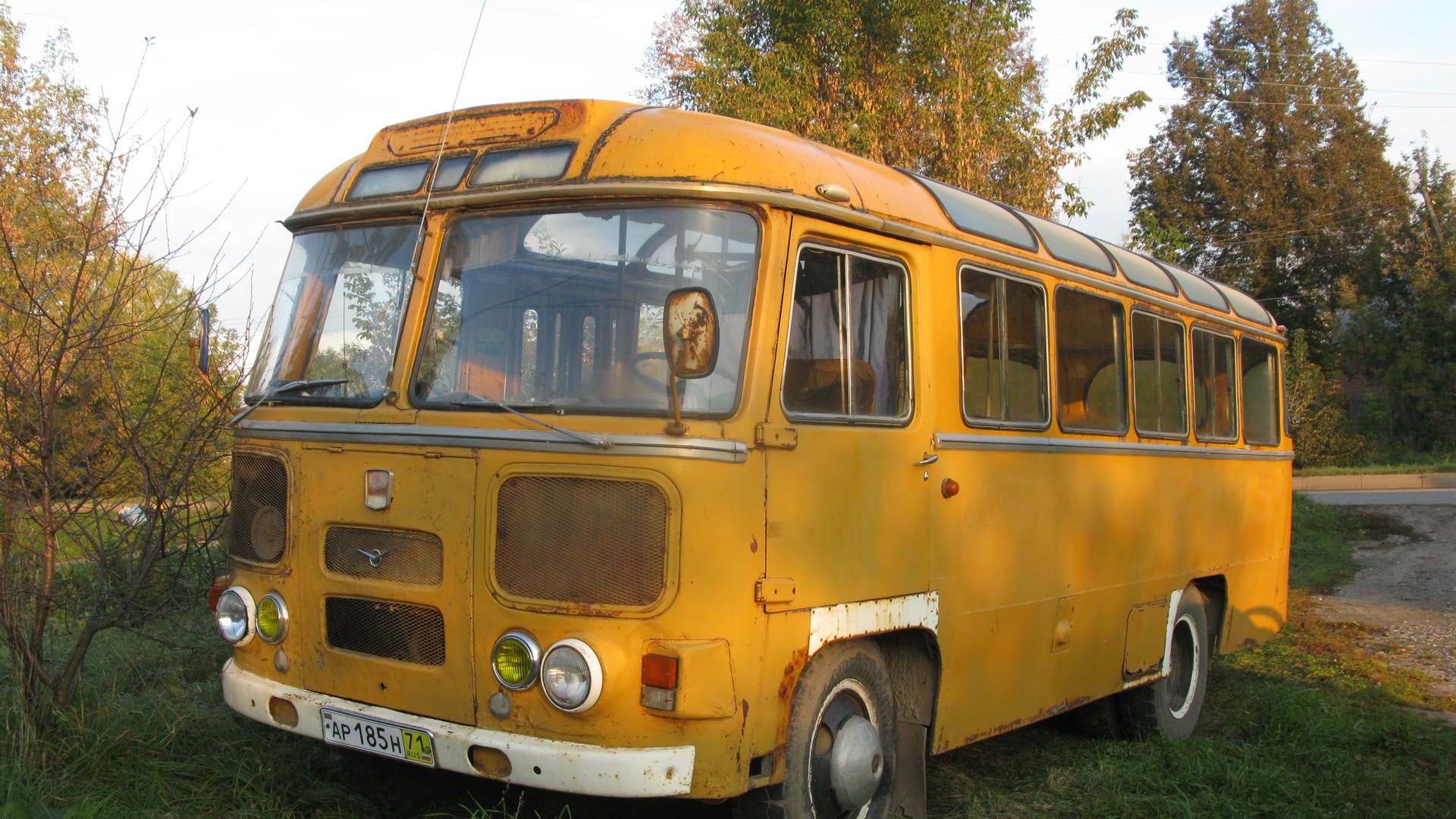 Фото школьного автобуса желтого паз