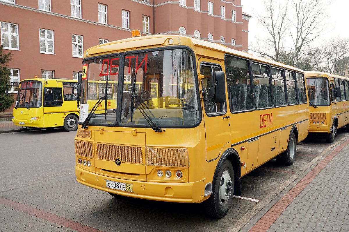 Автобус ПАЗ школьный 2020