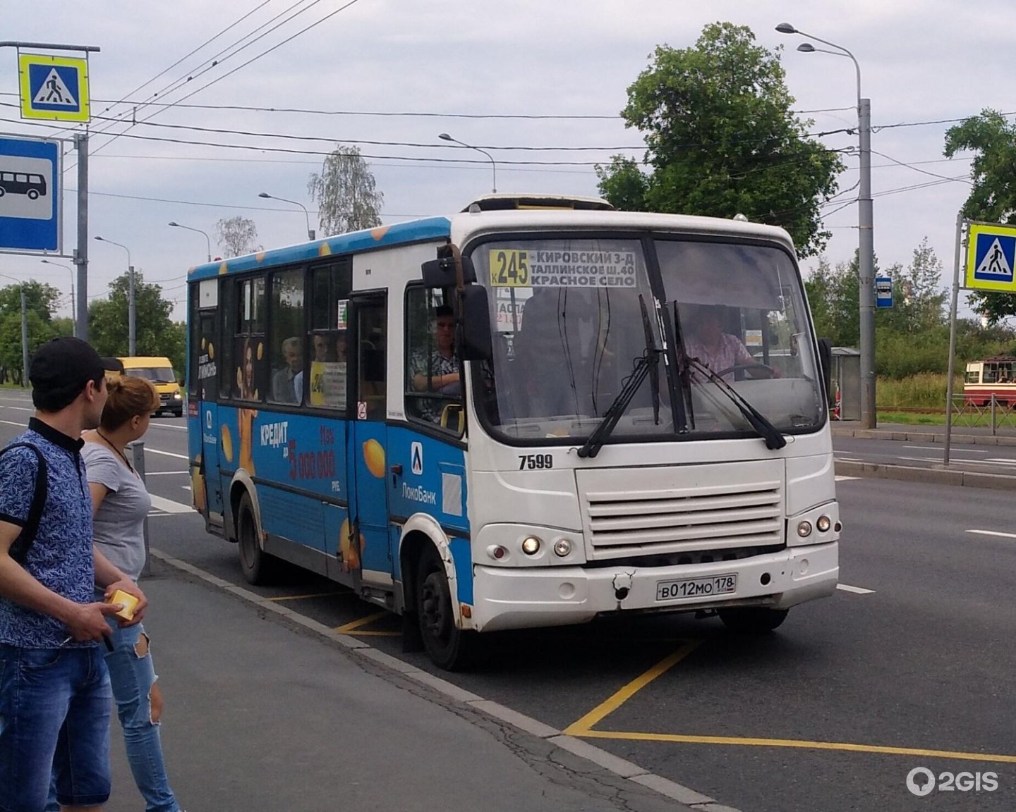 Автобус 17. 245 Маршрутка. Маршрутки СПБ. Автобус 245 маршрут. Маршрутки и автобусы СПБ.