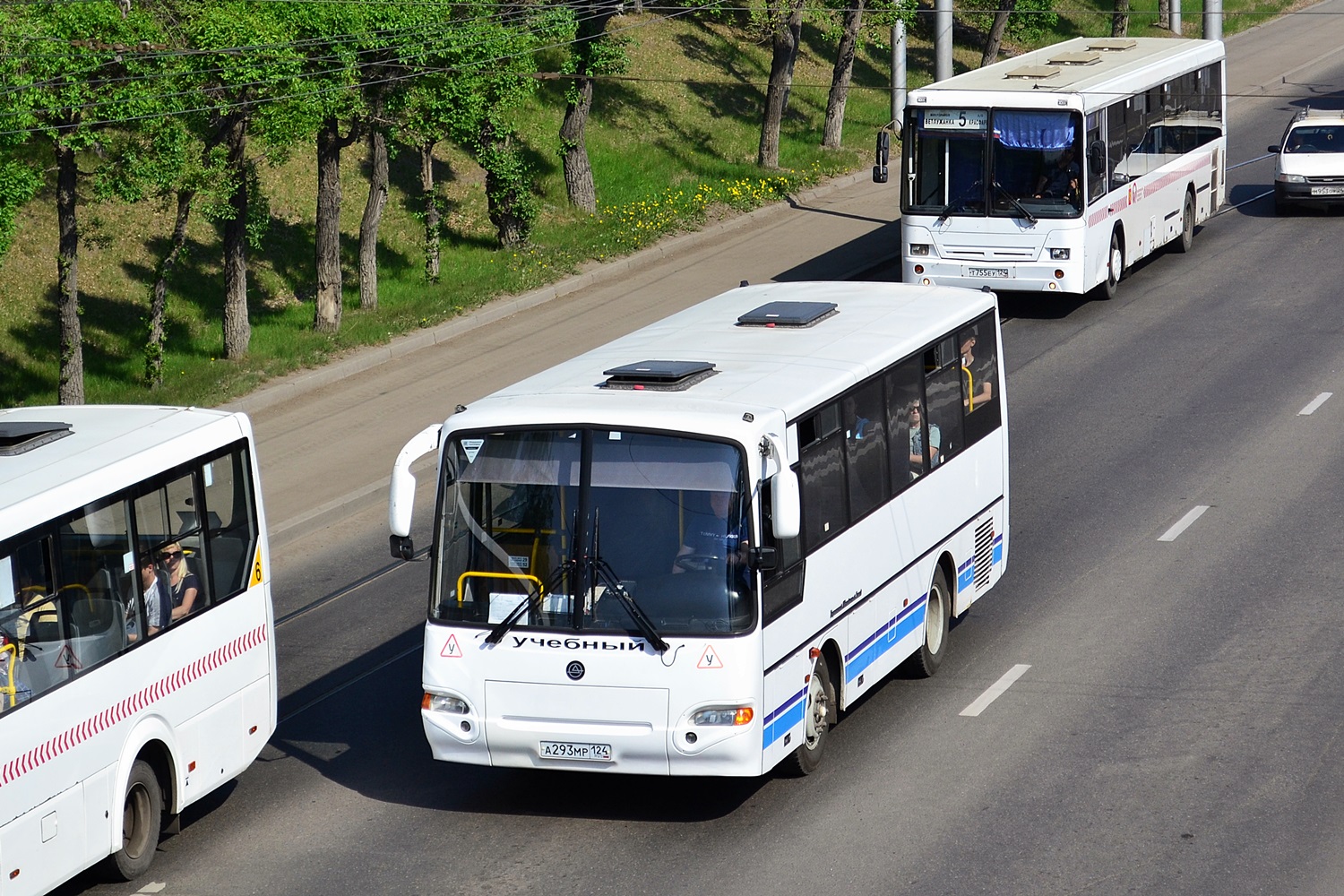 Автобус 124 новосибирск. Автобус ПАЗ 4234. Красноярск т228 ОА 124 ПАЗ 320312. Автобус Красноярск. 124 Автобус.