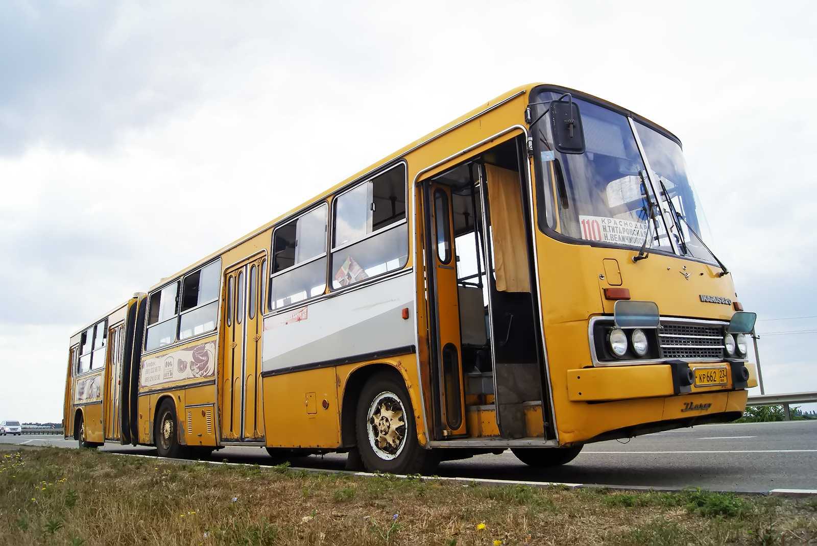 Икарус страна производитель. Икарус 280. Икарус 280 желтый. Ikarus 280 автобус. Икарус автобус гармошка 280.