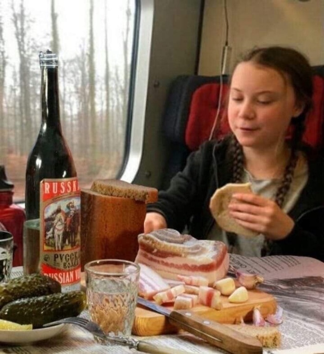Грета Тунберг в поезде Мем