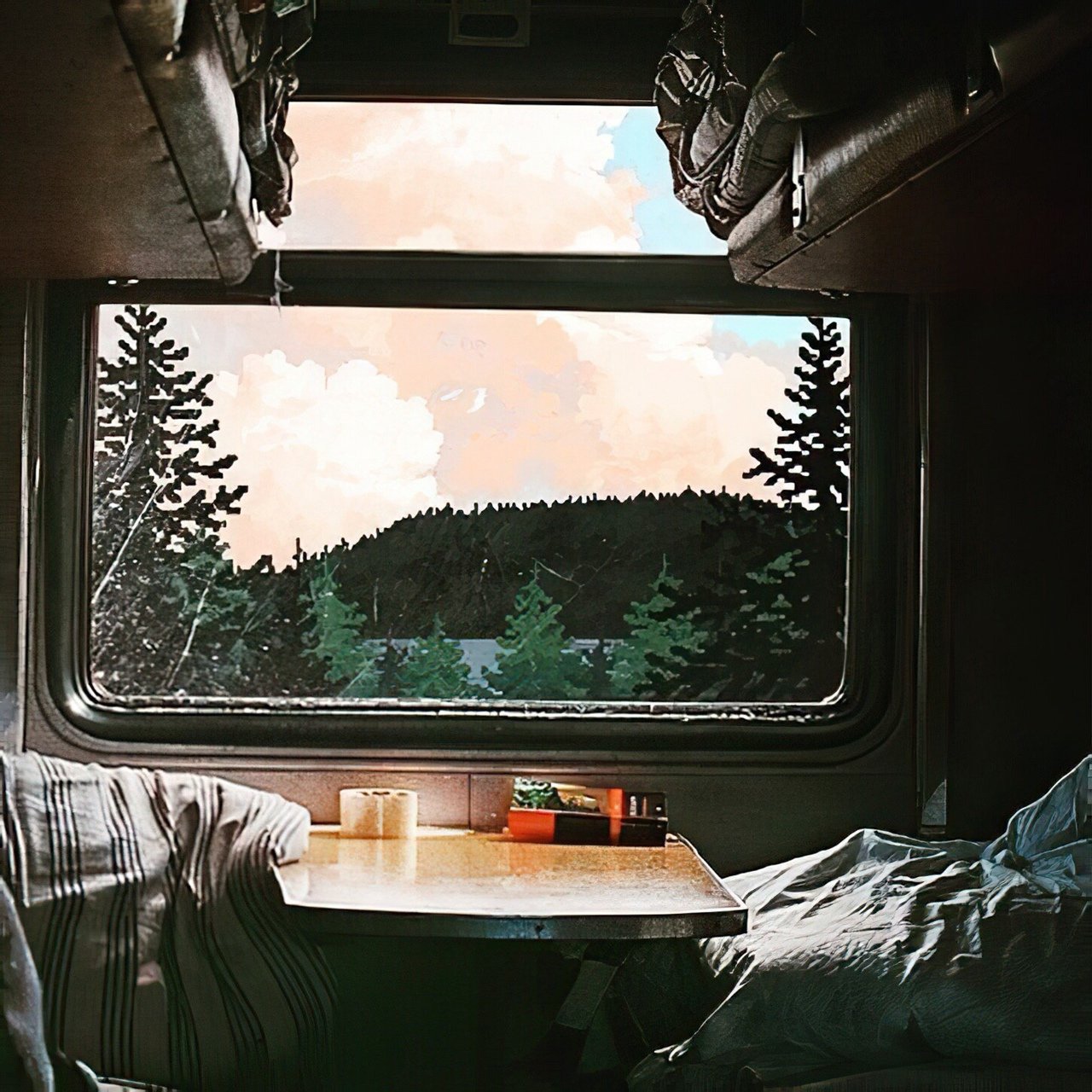 Окно поезда изнутри