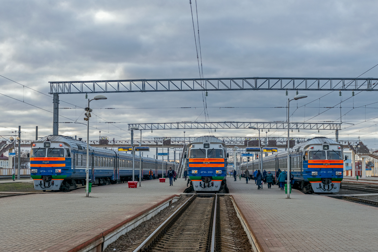 поезд москва гомель