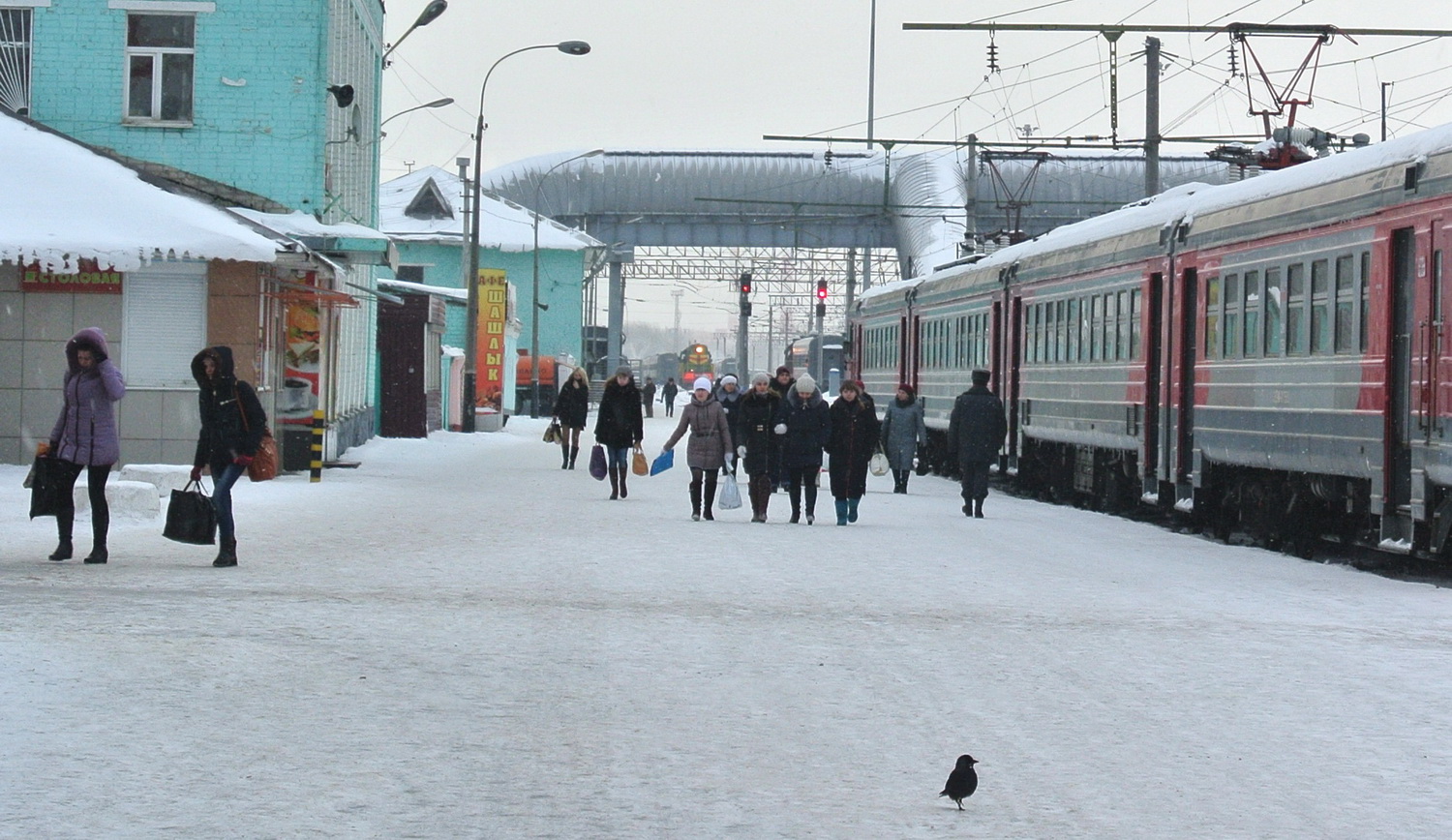 Пригородные электрички вологды. Электричка Шарья буй. Электричка Вологда буй. Электрички Вологда Вожега.