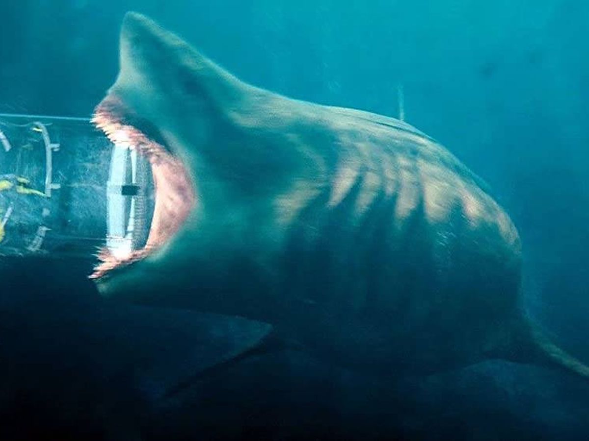Мэг 1 монстр из глубины. Мег монстр глубины 2018. Марианская впадина акула МЕГАЛОДОН. Мэг монстр глубины акула. МЕГАЛОДОН акула монстр.
