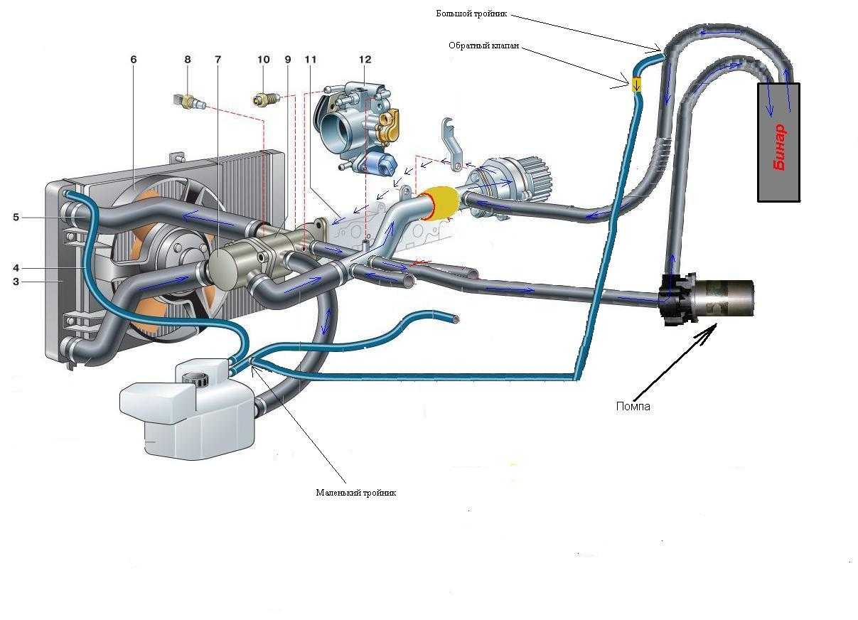 Схема система охлаждения двигателя 4216 газель бизнес