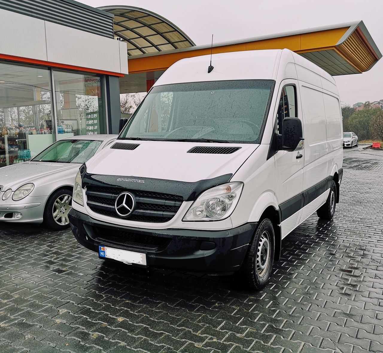 Mercedes Sprinter Дельфин