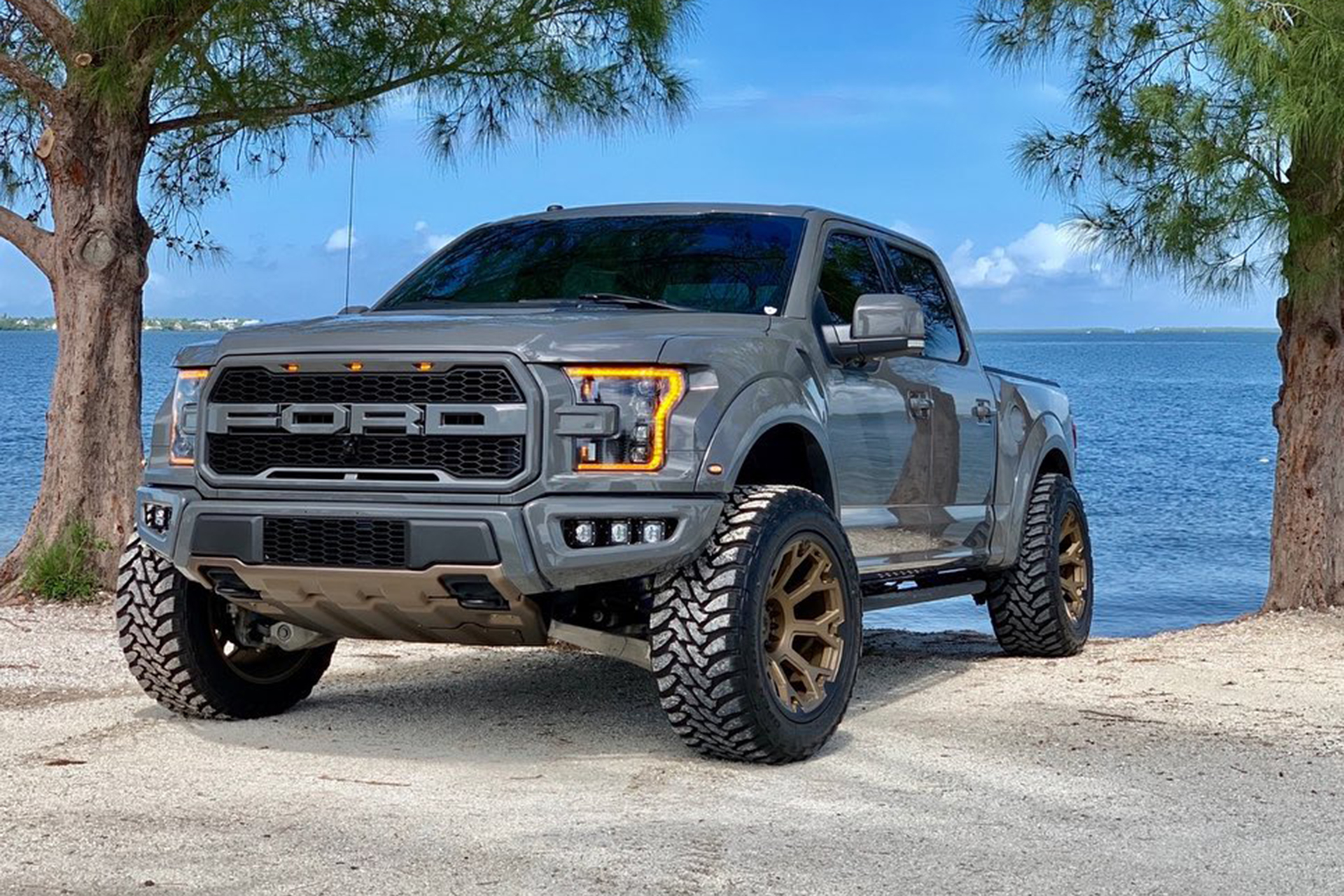 Ford f150 Raptor Blue