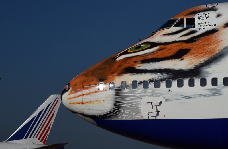 Боинг 747 тигр