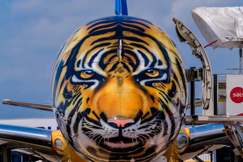 Тигр в самолете картинка