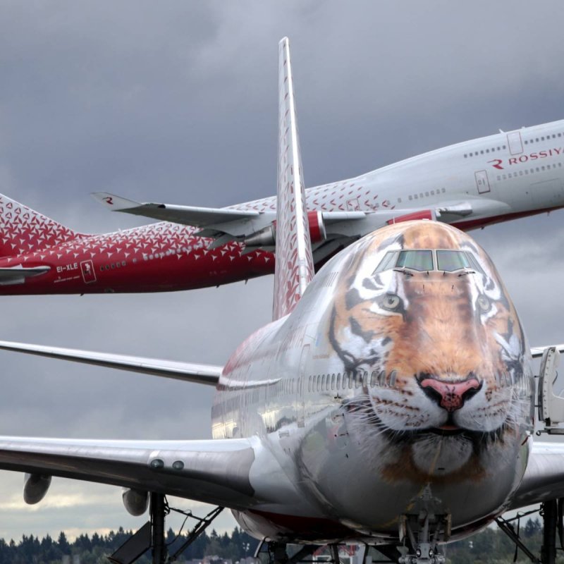 Боинг 747 400 с тигром