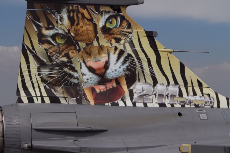 Военный самолет тигриной