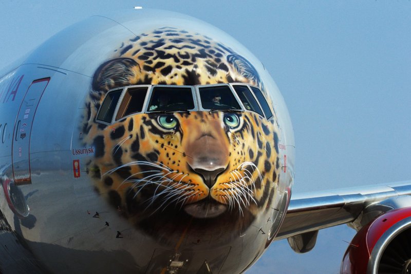 Боинг 747 леопард
