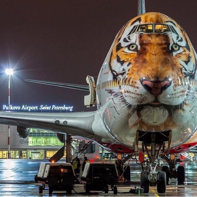 Боинг 747 тигр