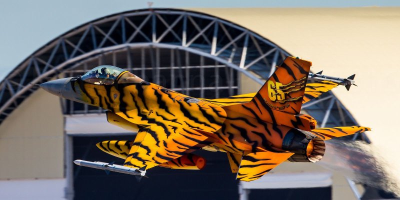 Самолет тигр