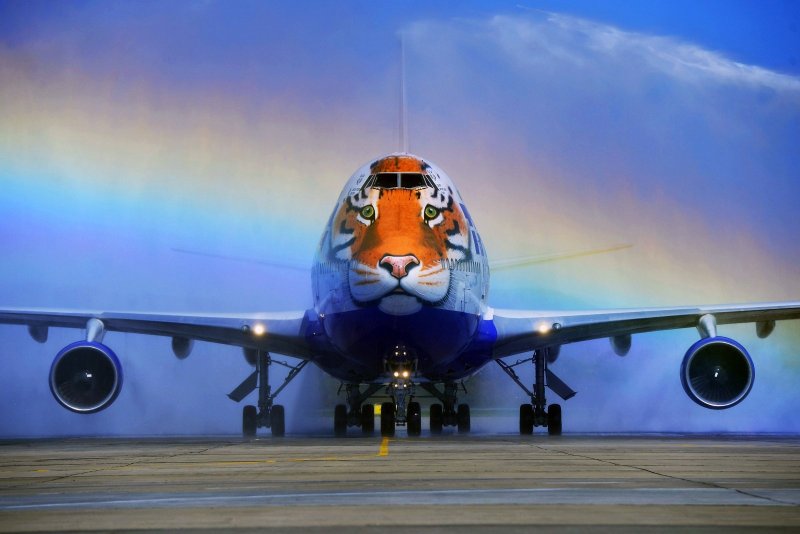 747 Трансаэро тигр