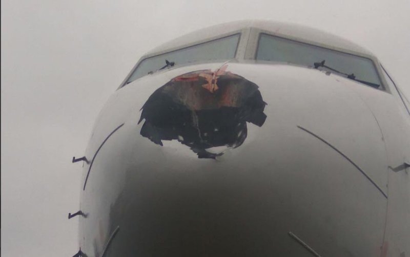 Птица врезалась в самолет
