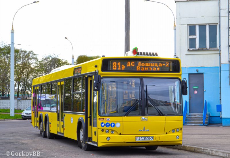Эколайнс автобус