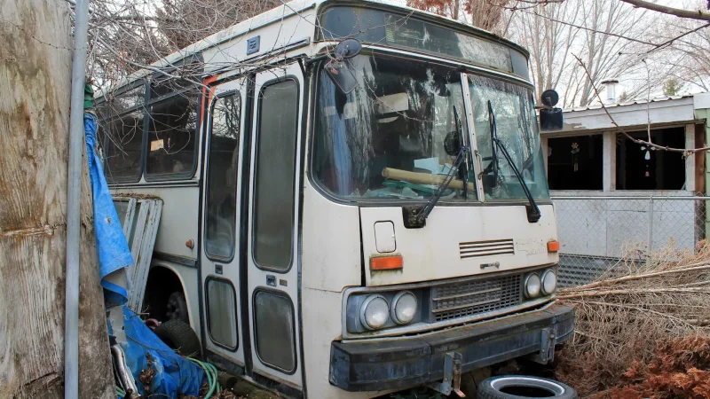 Фольксваген т1 в лесу