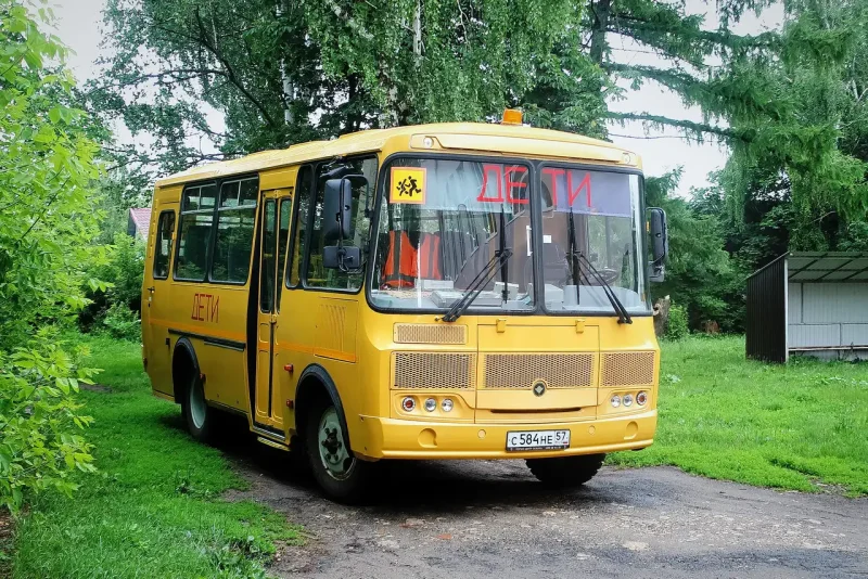 Фольксваген т1 в лесу