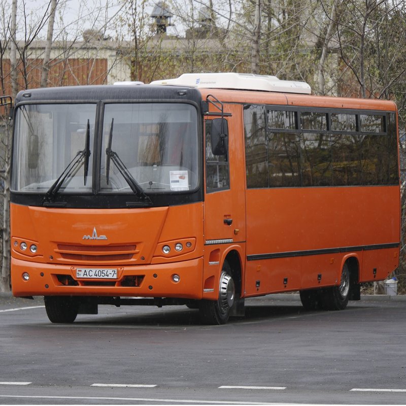 Школьный автобус МАЗ 103