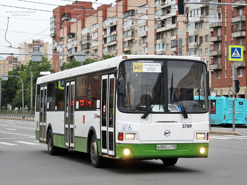 Тюменский транспорт автобусов